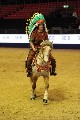 Quadrille - 00285